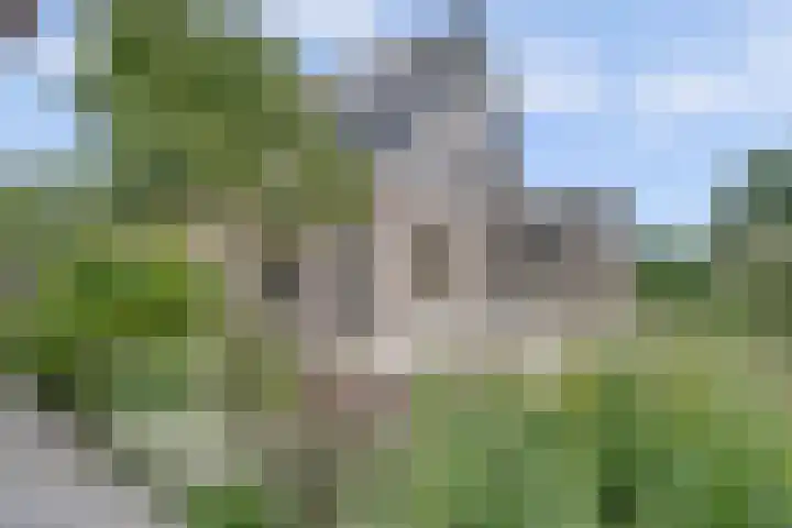 Vlasakker 4 Goudswaard thumbnail 50