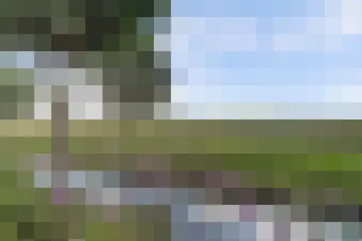 Vlasakker 4 Goudswaard thumbnail 51