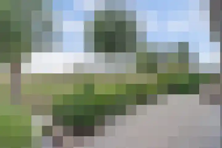 Vlasakker 4 Goudswaard thumbnail 52
