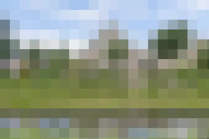 Vlasakker 4 Goudswaard thumbnail 53