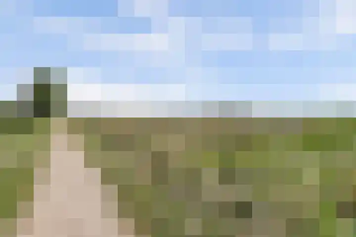 Vlasakker 4 Goudswaard thumbnail 54