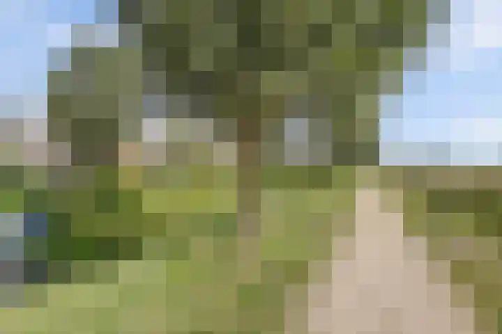 Vlasakker 4 Goudswaard thumbnail 55