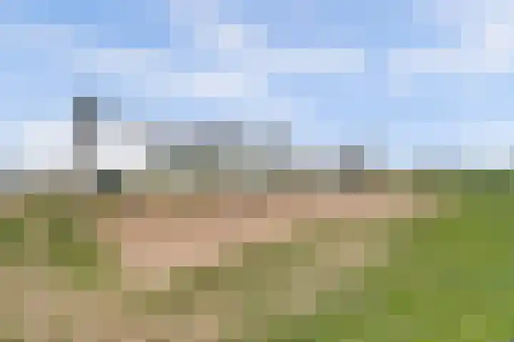 Vlasakker 4 Goudswaard thumbnail 56
