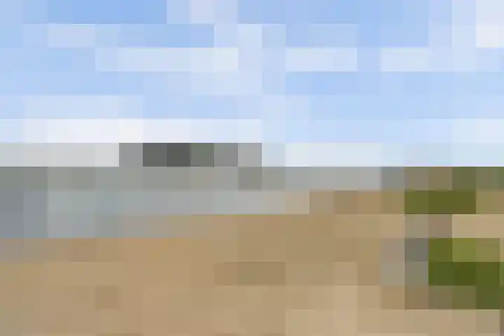 Vlasakker 4 Goudswaard thumbnail 57