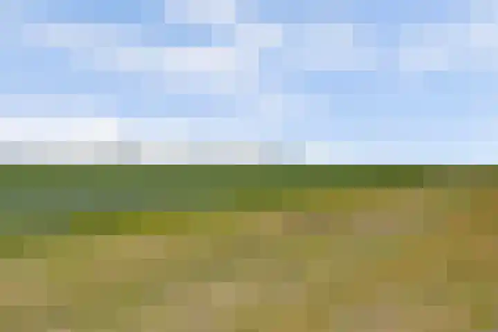 Vlasakker 4 Goudswaard thumbnail 58