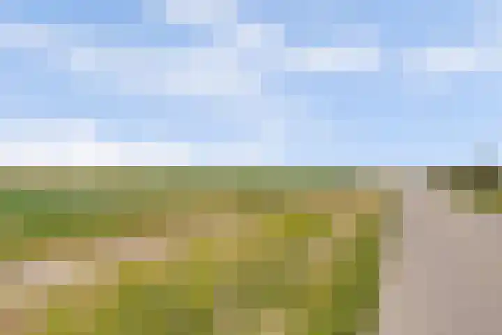 Vlasakker 4 Goudswaard thumbnail 59
