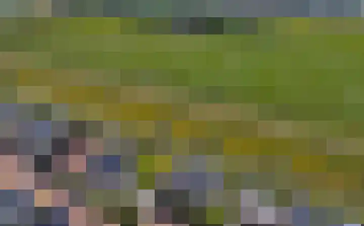 Vlasakker 4 Goudswaard thumbnail 60