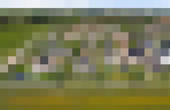 Vlasakker 4 Goudswaard thumbnail 61