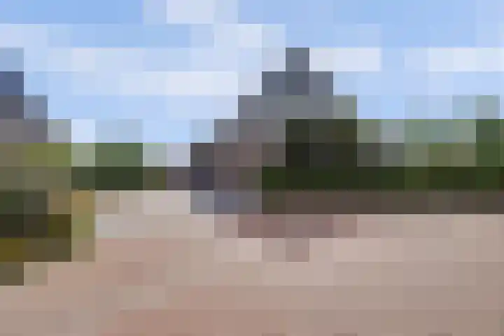 Vlasakker 4 Goudswaard thumbnail 7