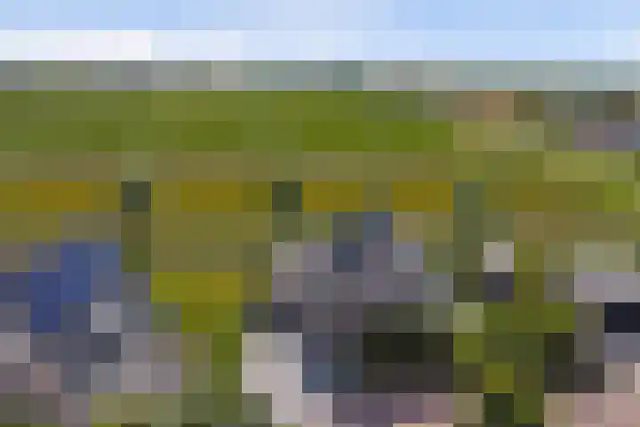 Vlasakker 4 Goudswaard thumbnail 70
