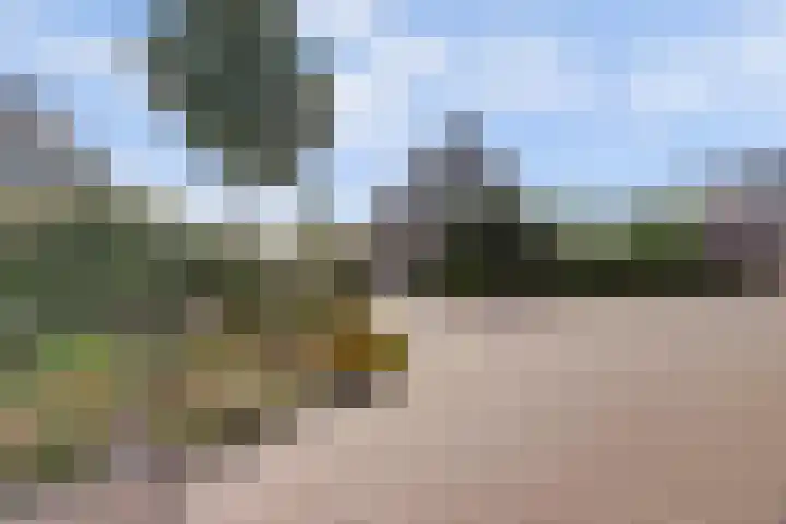 Vlasakker 4 Goudswaard thumbnail 8