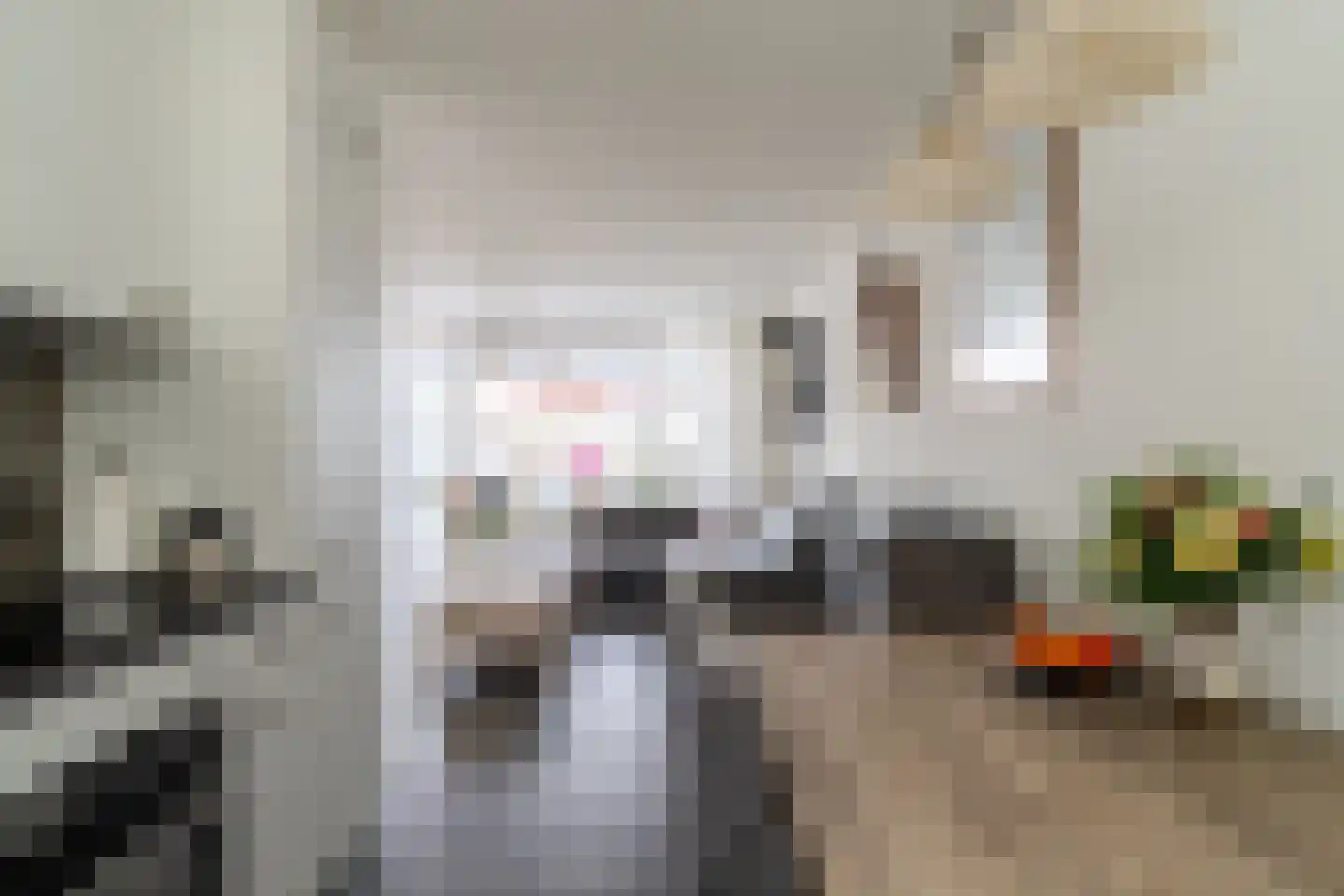 Vlasakker 5 Wijk en Aalburg thumbnail 11