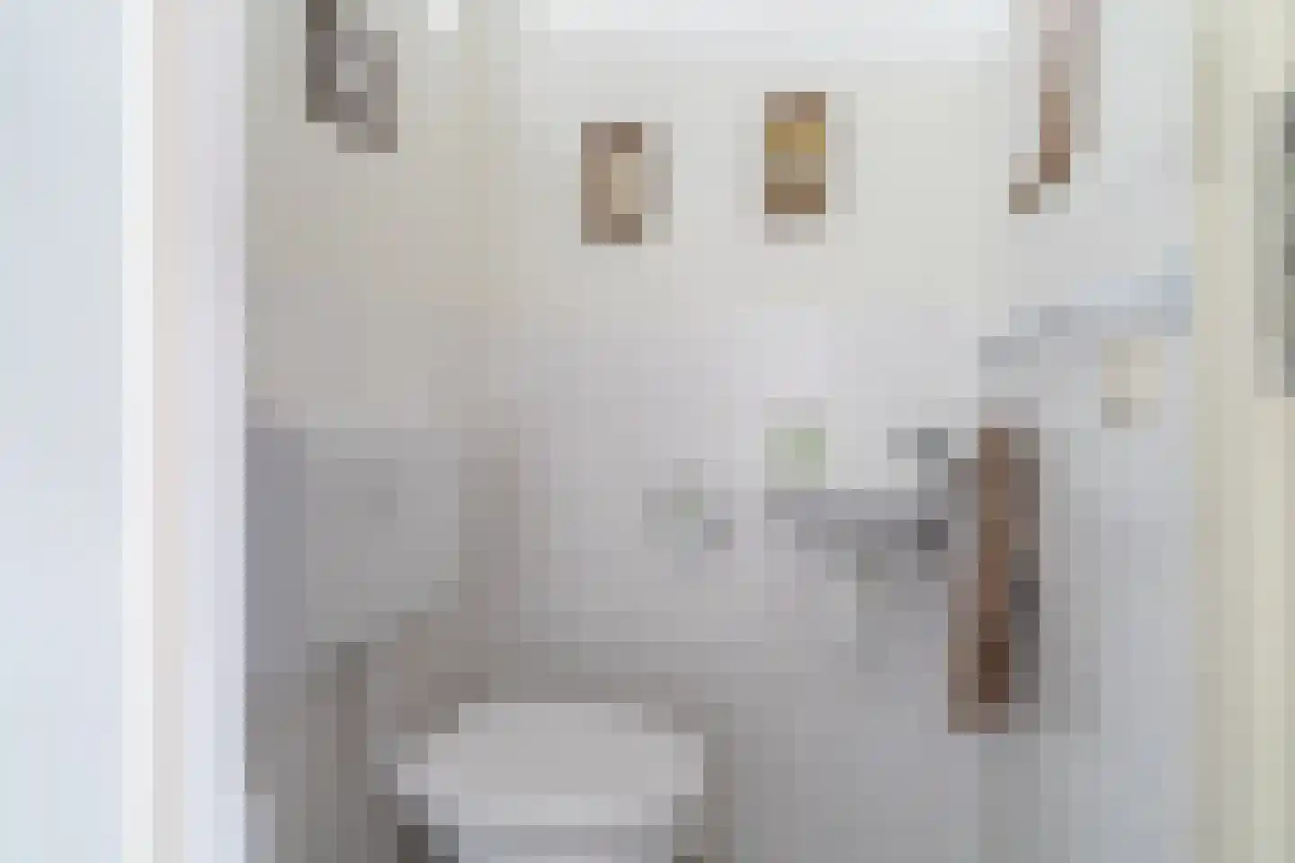 Vlasakker 5 Wijk en Aalburg thumbnail 6