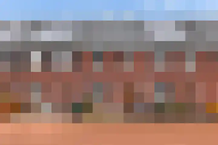 Vlasakker 55 in Wezep