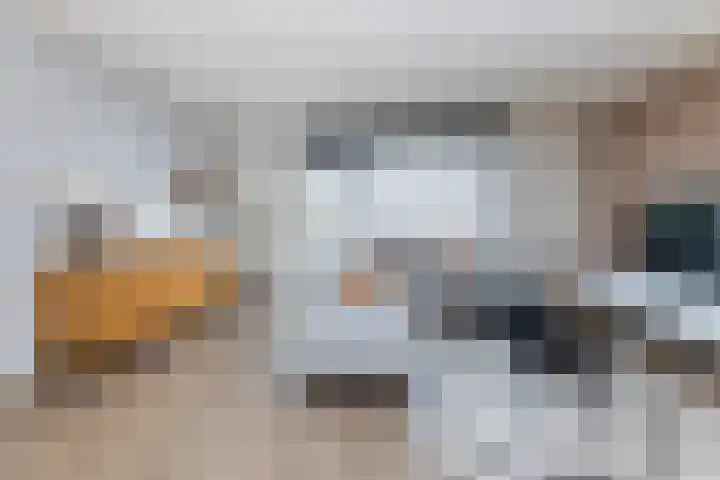 Vlasakker 55 Wezep thumbnail 12