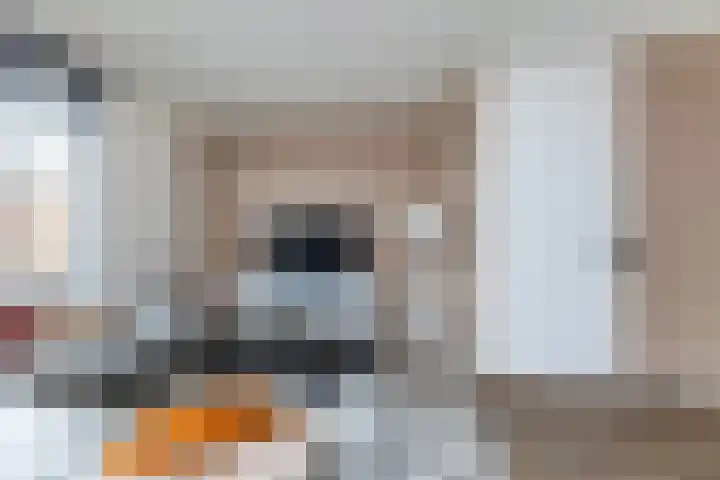 Vlasakker 55 Wezep thumbnail 13
