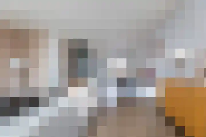 Vlasakker 55 Wezep thumbnail 16