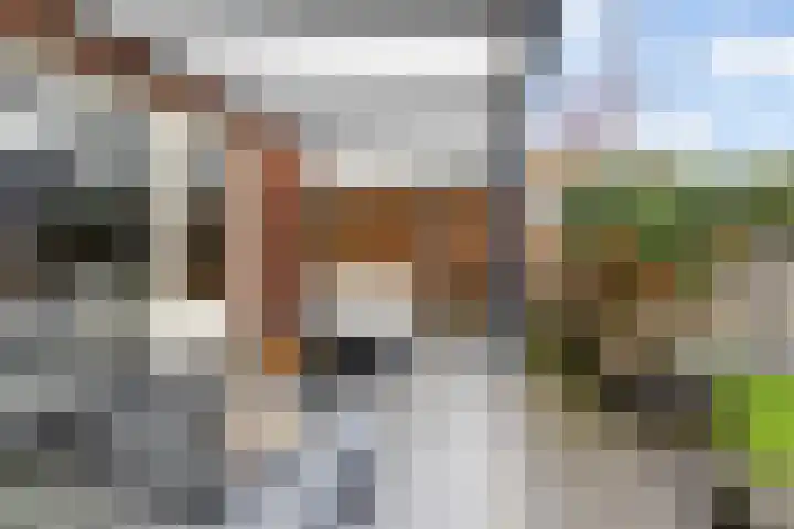 Vlasakker 55 Wezep thumbnail 19