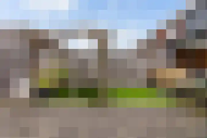 Vlasakker 55 Wezep thumbnail 21