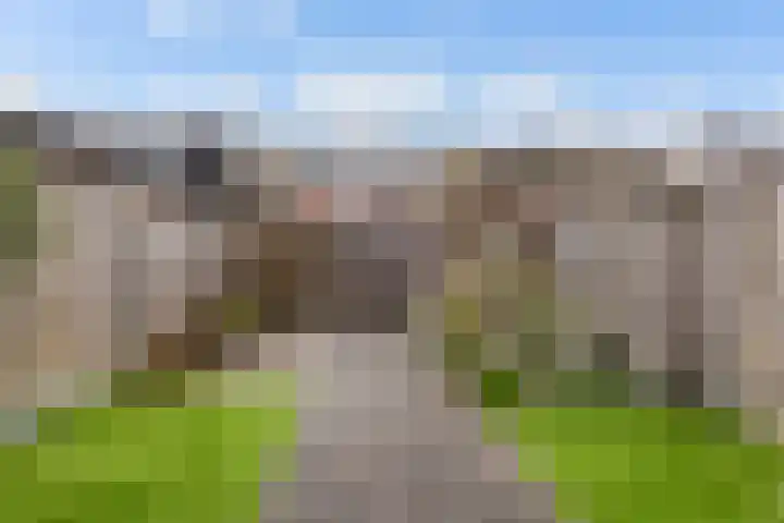 Vlasakker 55 Wezep thumbnail 22