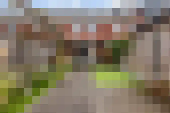 Vlasakker 55 Wezep thumbnail 23