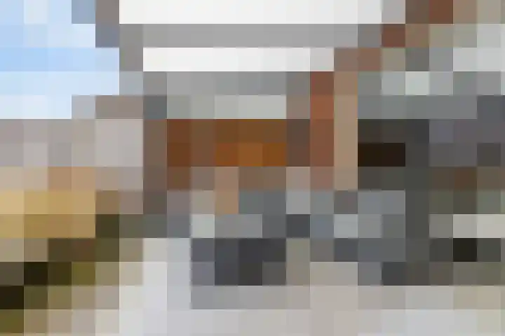 Vlasakker 55 Wezep thumbnail 24