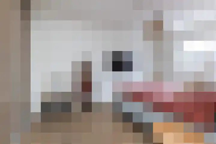 Vlasakker 55 Wezep thumbnail 27