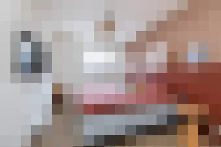 Vlasakker 55 Wezep thumbnail 28