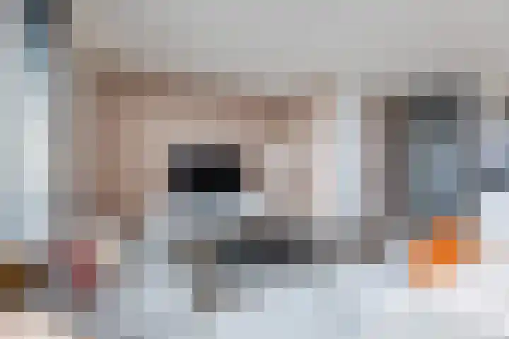 Vlasakker 55 Wezep foto 3