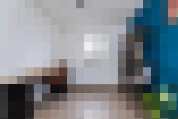 Vlasakker 55 Wezep thumbnail 30