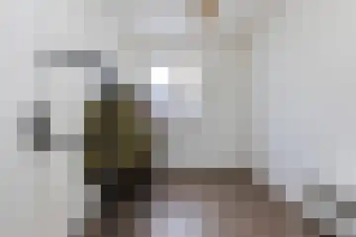 Vlasakker 55 Wezep thumbnail 31