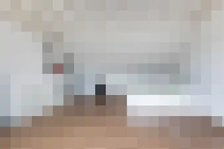 Vlasakker 55 Wezep thumbnail 35