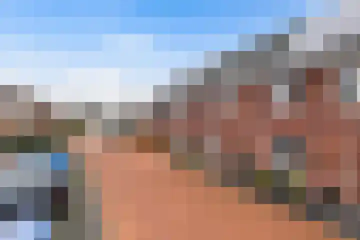 Vlasakker 55 Wezep thumbnail 37