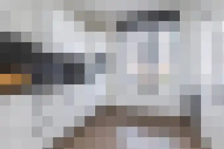 Vlasakker 55 Wezep thumbnail 9