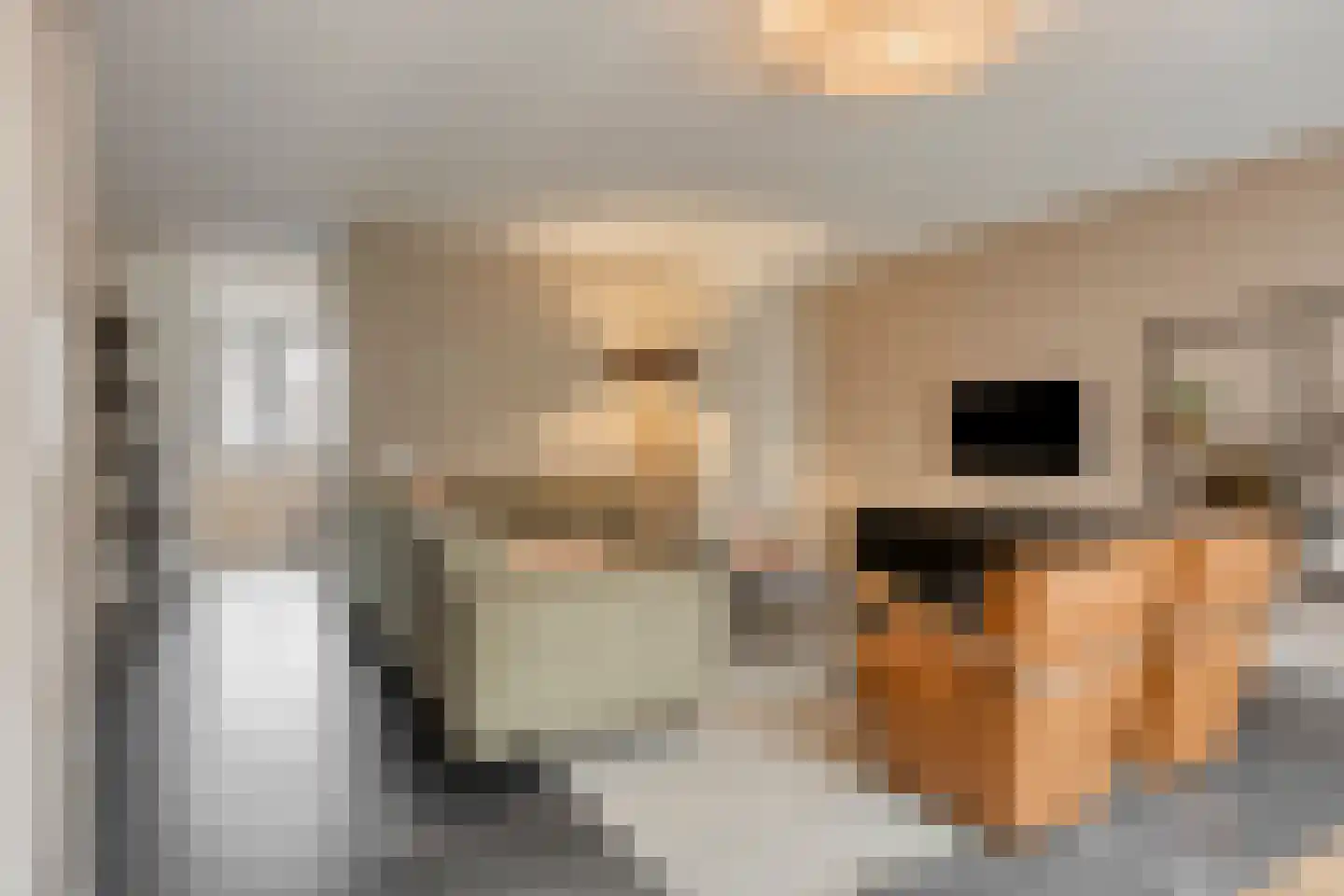Vlasakker 6 Heesch thumbnail 11