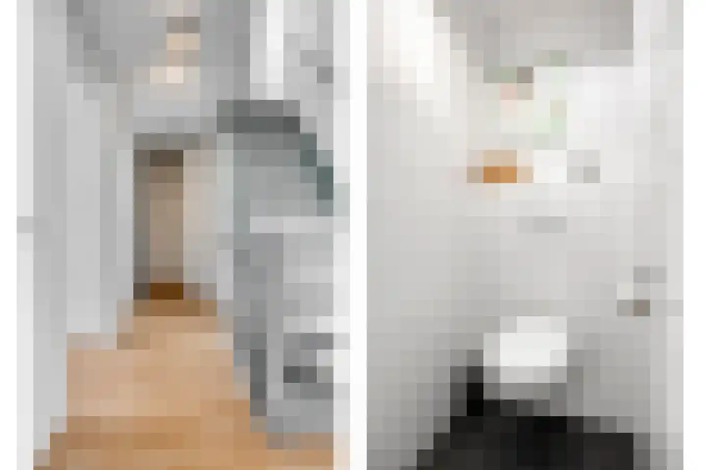 Vlasakker 6 Heesch thumbnail 21