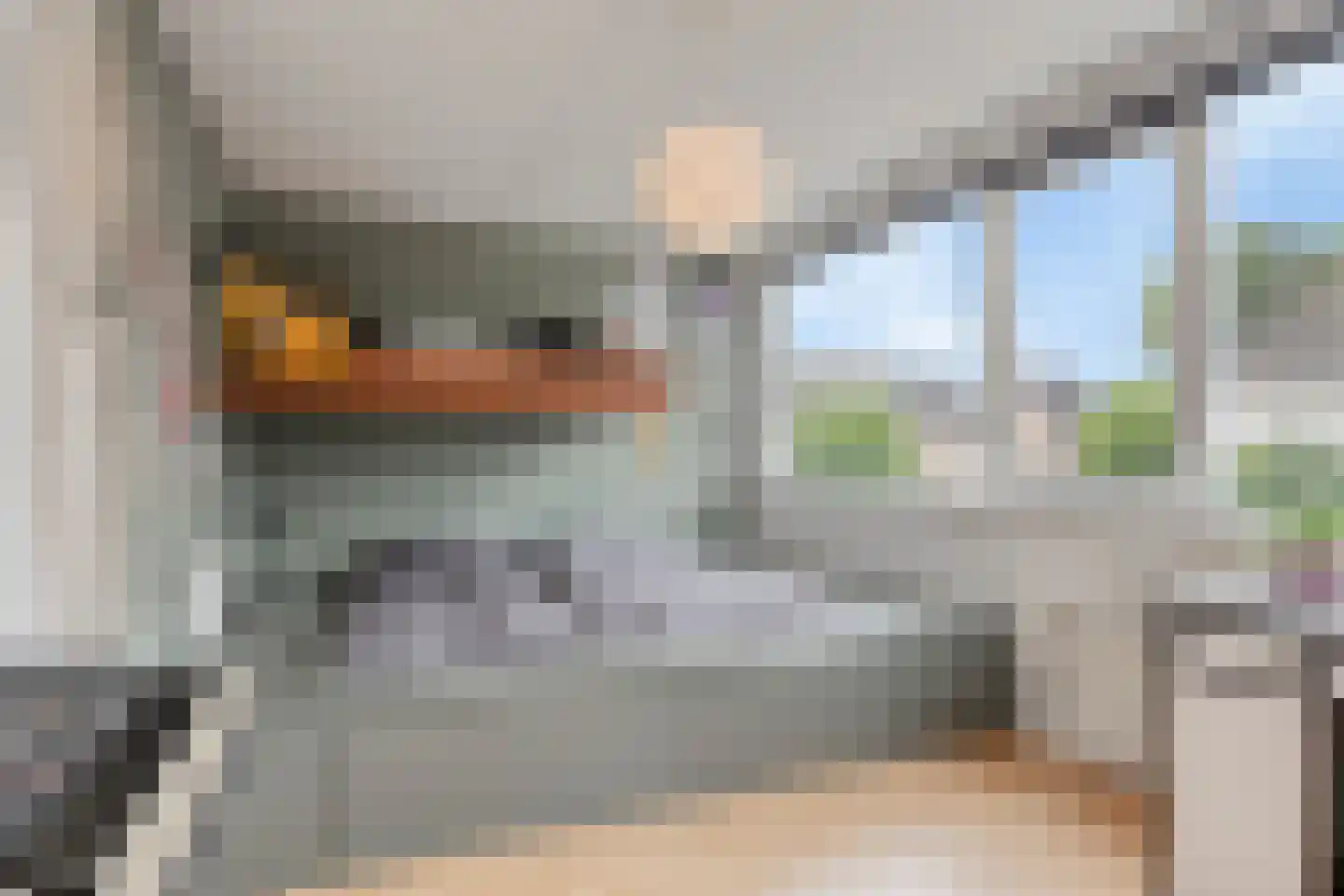 Vlasakker 6 Heesch thumbnail 24