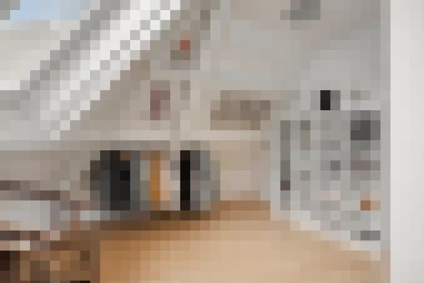 Vlasakker 6 Heesch thumbnail 27
