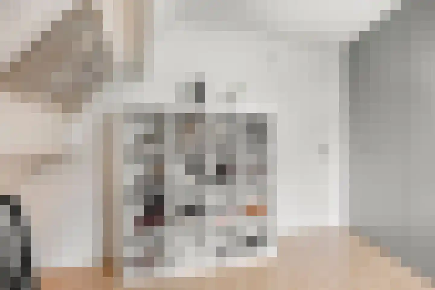 Vlasakker 6 Heesch thumbnail 28