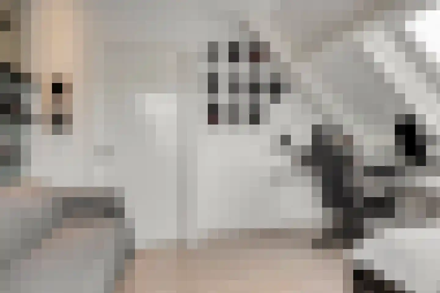 Vlasakker 6 Heesch thumbnail 36