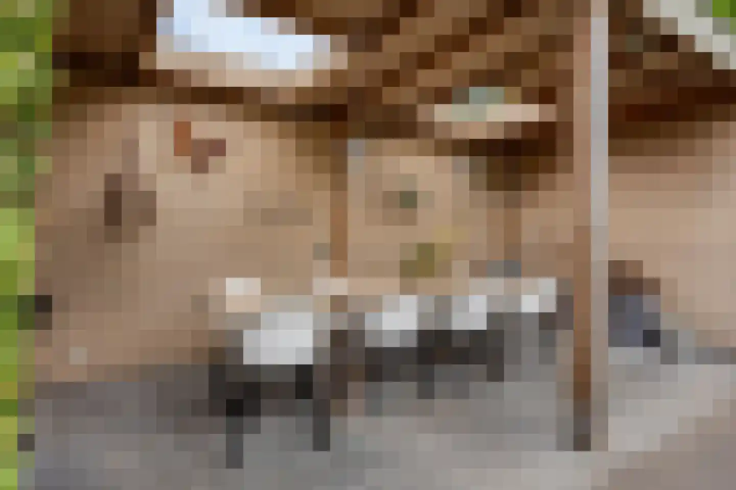 Vlasakker 6 Heesch thumbnail 39