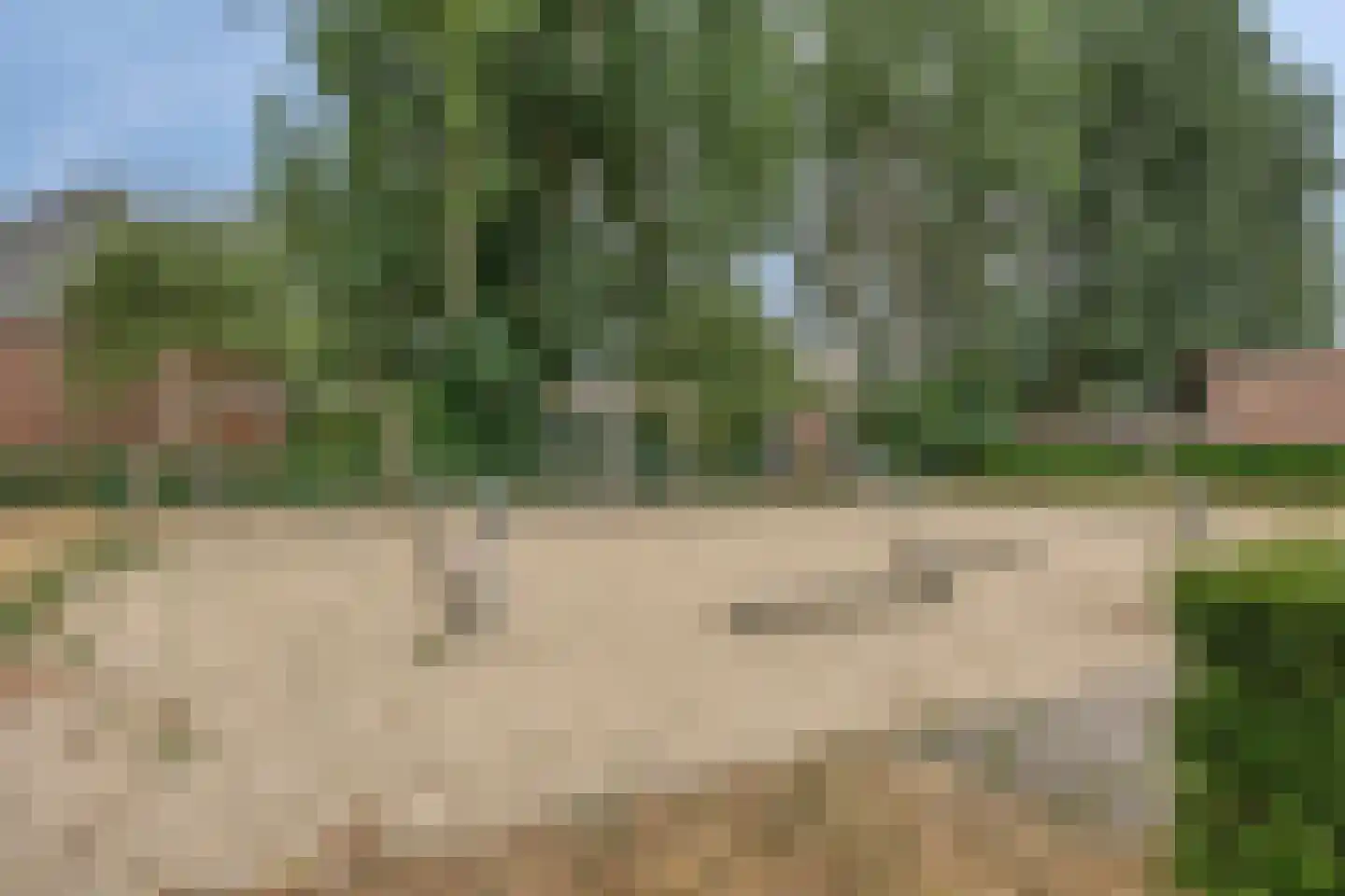Vlasakker 6 Heesch thumbnail 45