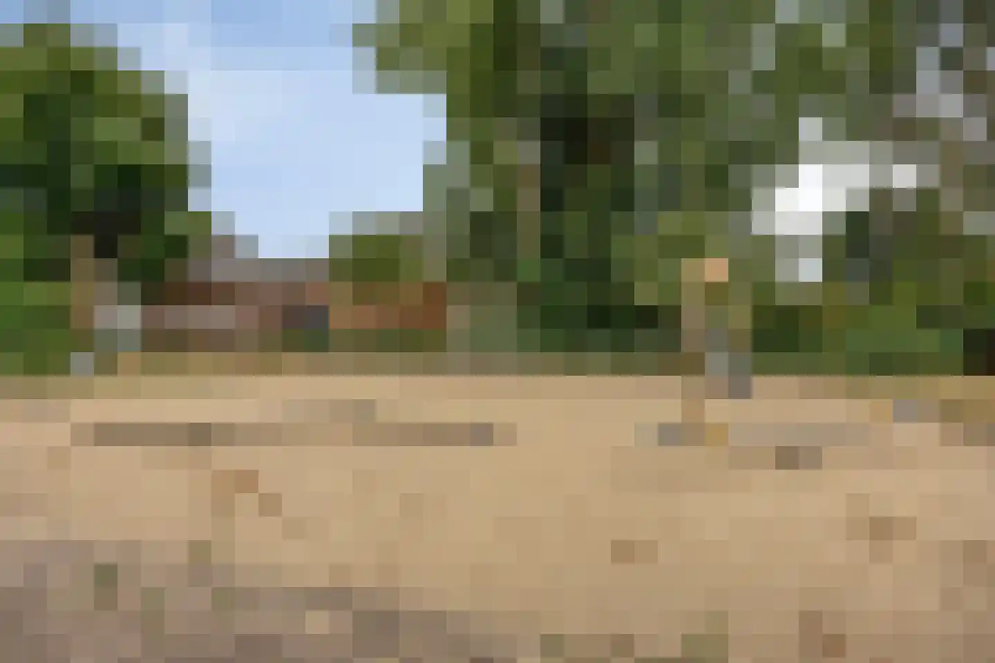 Vlasakker 6 Heesch thumbnail 46