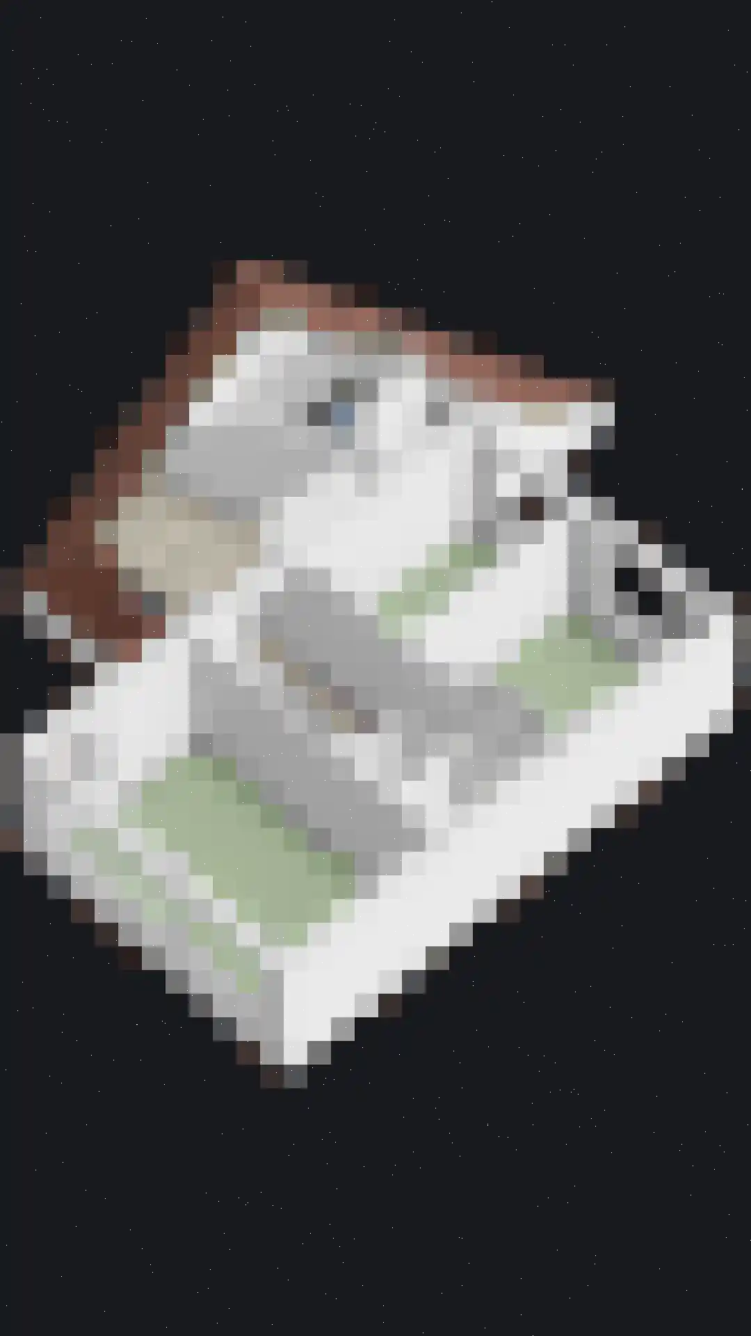 Vlasakker 6 Heesch thumbnail 52