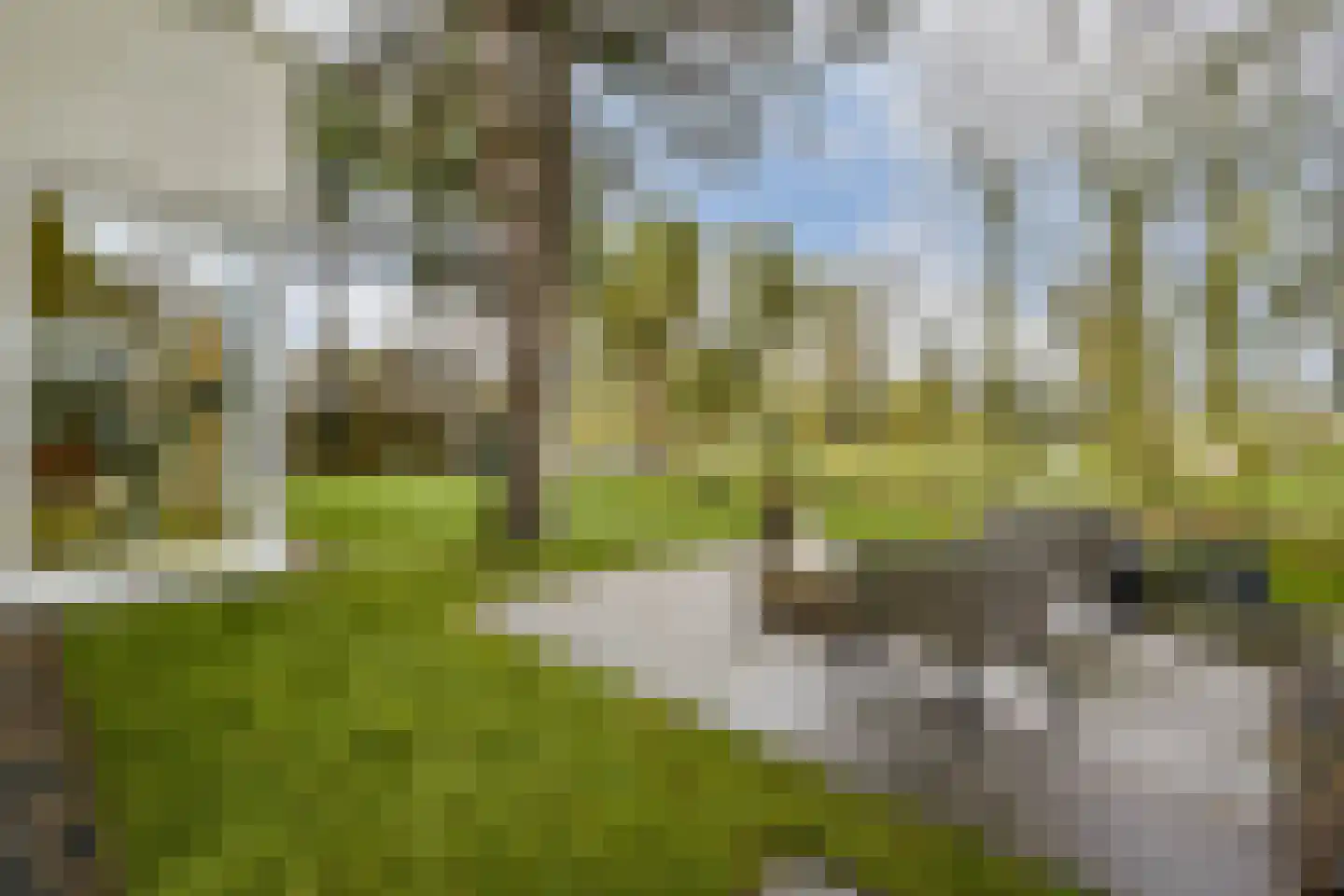 Vlasakker 80 Schiedam thumbnail 13