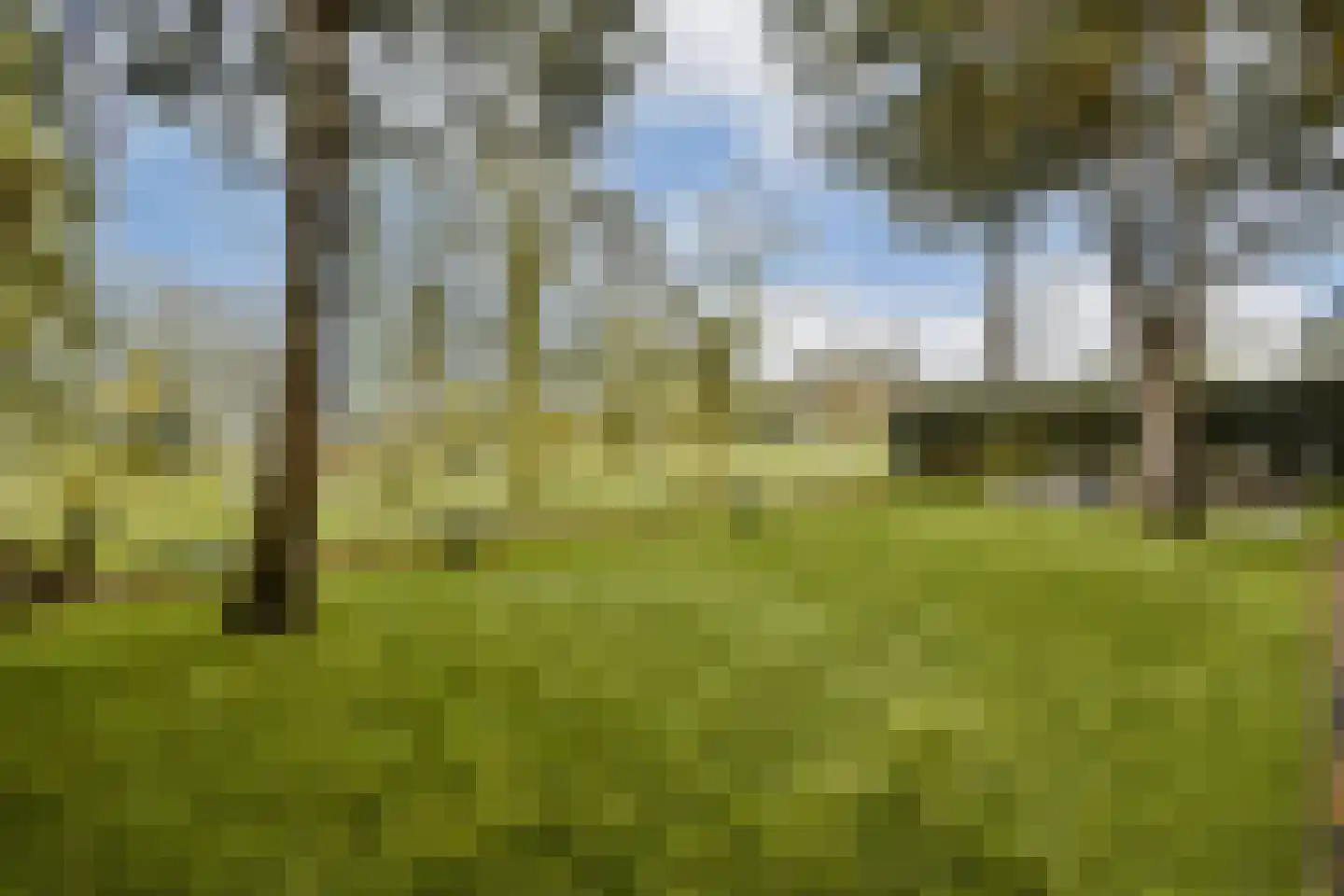 Vlasakker 80 Schiedam thumbnail 14