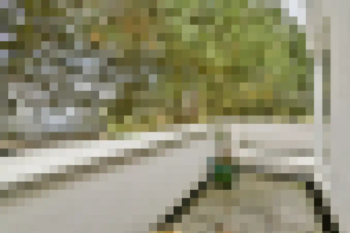 Vlasakker 80 Schiedam thumbnail 27