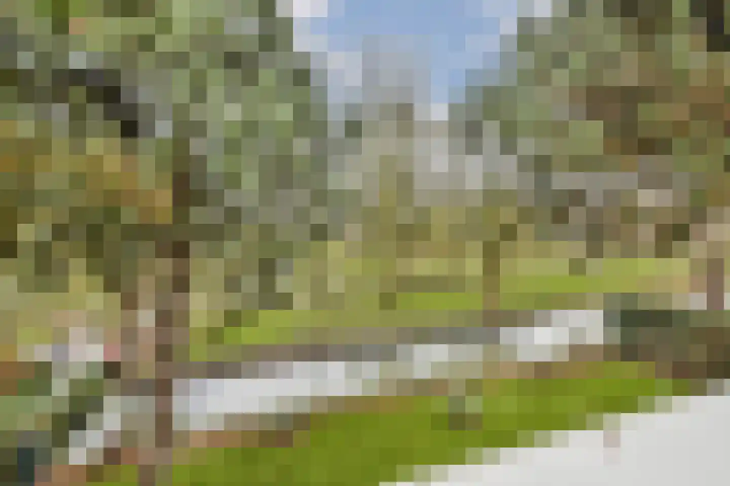 Vlasakker 80 Schiedam thumbnail 28