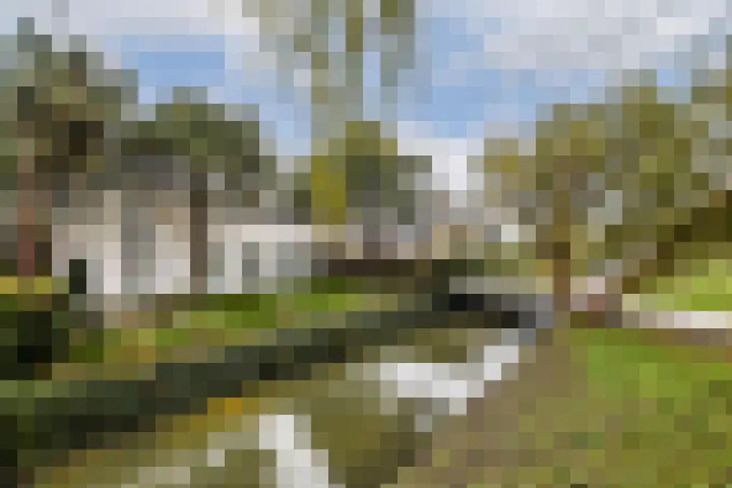 Vlasakker 80 Schiedam thumbnail 33