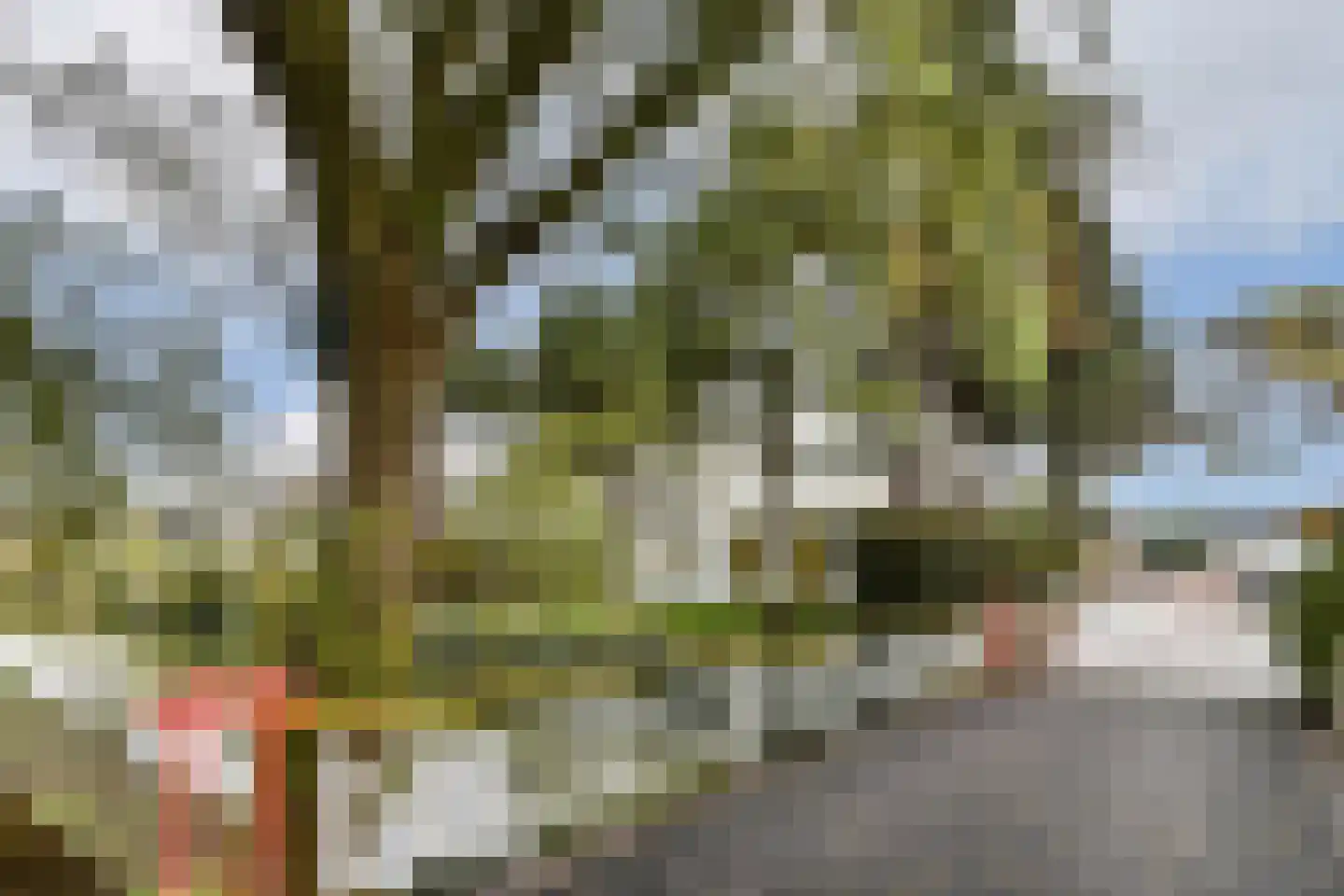 Vlasakker 80 Schiedam thumbnail 34